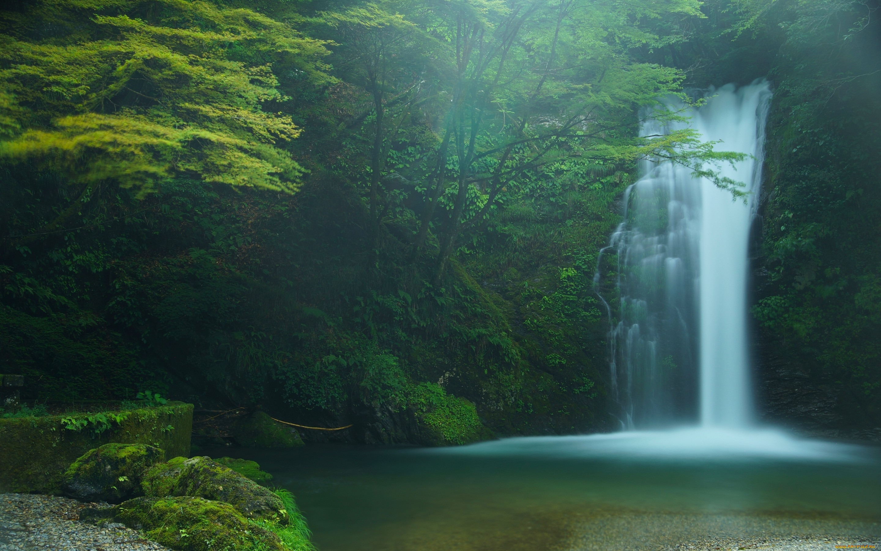 , , japan, , , fujinomiya, shiraito, falls, , , , 